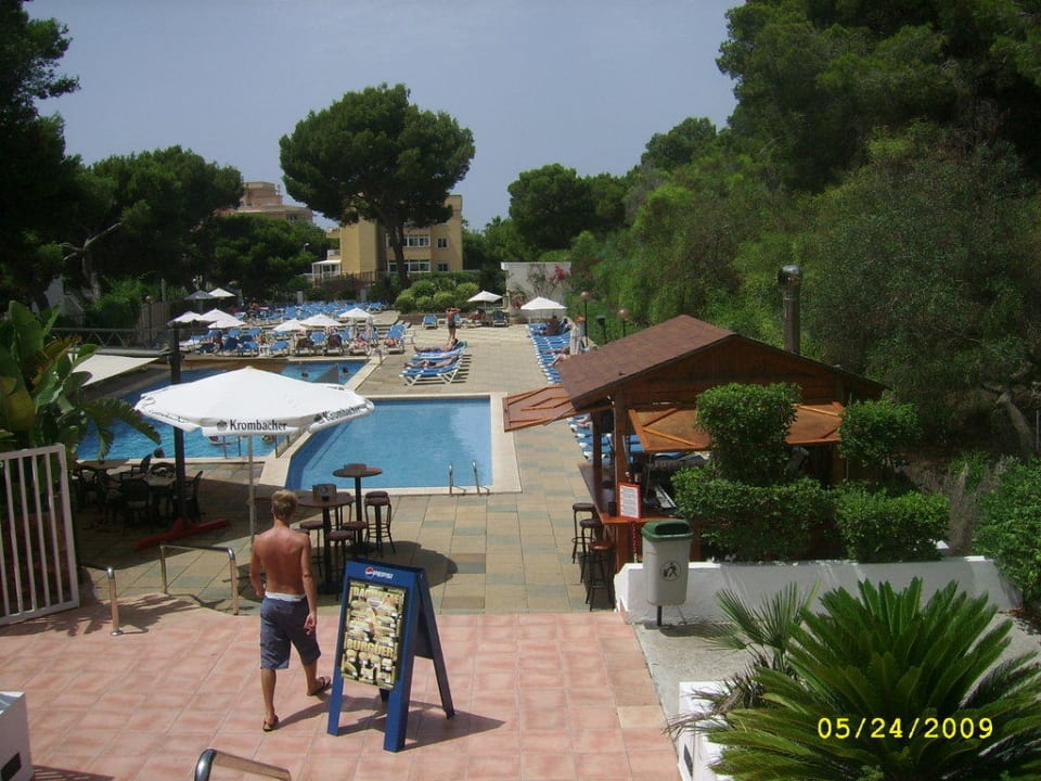 Pool Hotel Timor