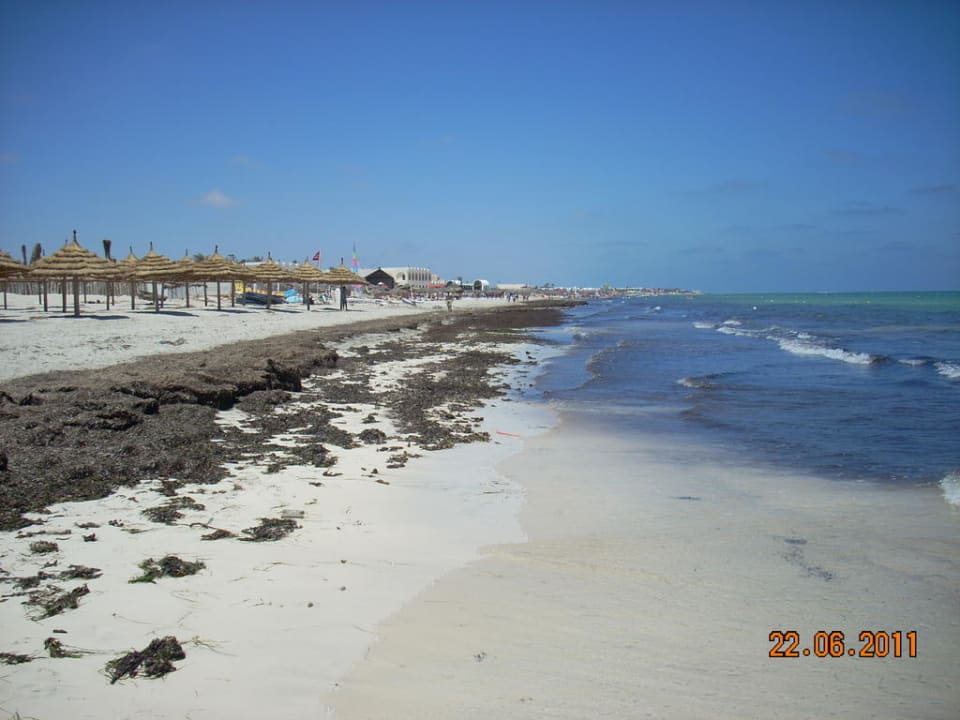 Strandbereich ausserhalb der hoteleigenen Zone TUI MAGIC LIFE Penelope Beach