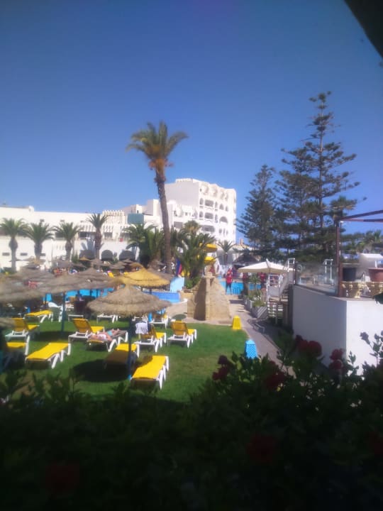 Pool Delphin El Habib