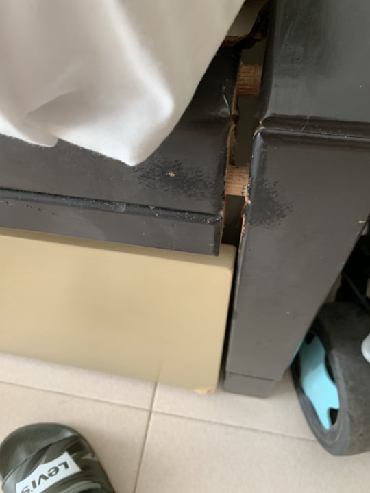 Zimmer blau punta reina