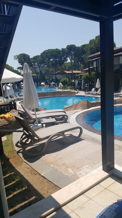 Pool Papillon Ayscha