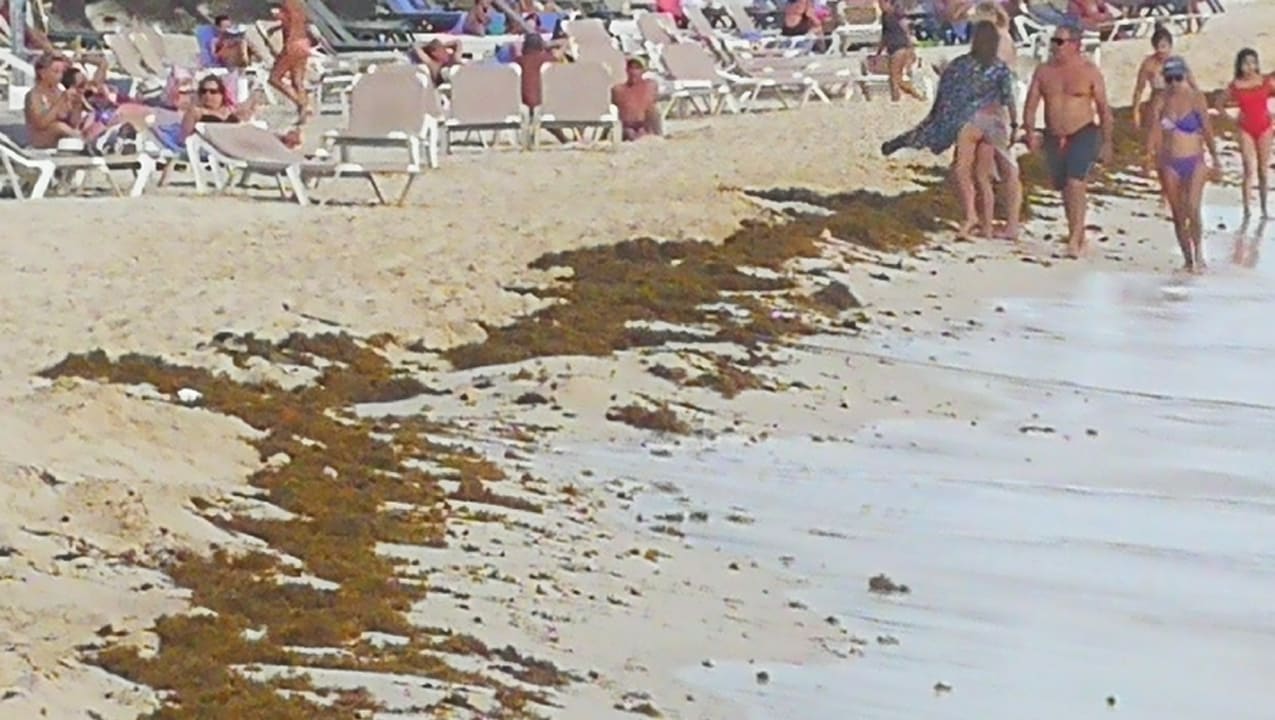 Strand Catalonia Royal La Romana - Adults only