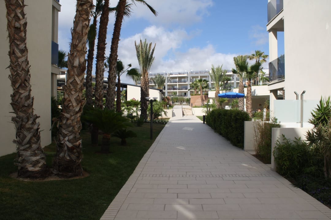 Gang zum Pool Zafiro Palace Alcudia