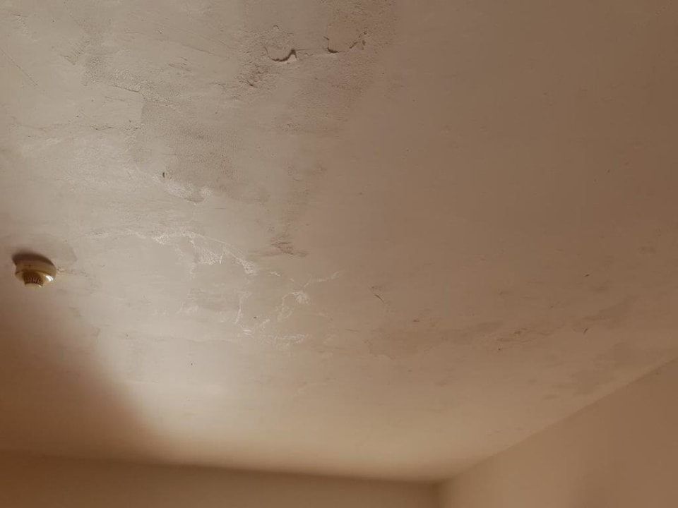 Zimmer Hotel Gorgonia Beach Resort