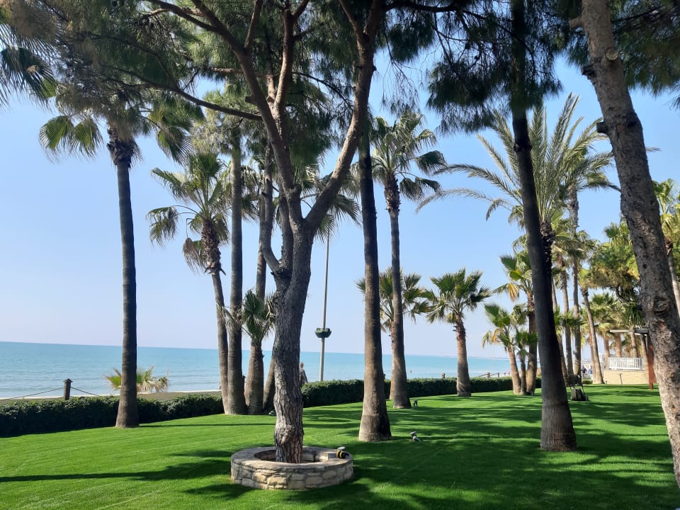 Gartenanlage Acanthus Cennet Barut Collection