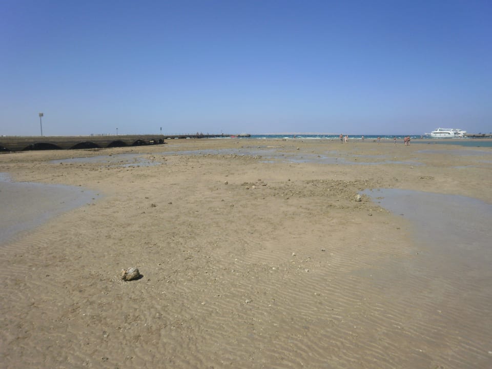 Strand bei Ebbe Pickalbatros Dana Beach Resort - Hurghada