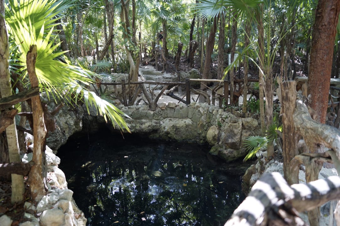 Gartenanlage Sandos Caracol Eco Resort