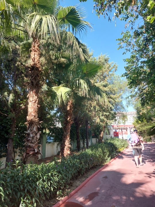 Gartenanlage Side Breeze Hotel