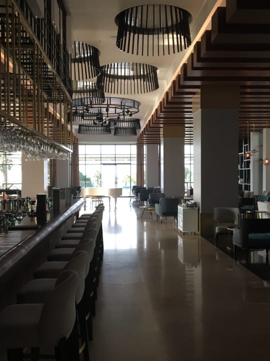 Gastro Acanthus Cennet Barut Collection