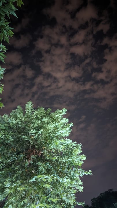 Gartenanlage Can Garden Beach