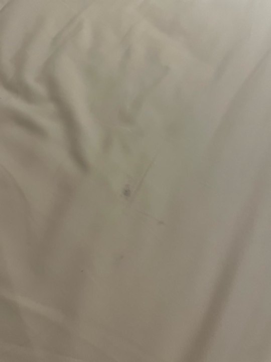 Zimmer Elite World Grand İstanbul Basın Ekpres Hotel