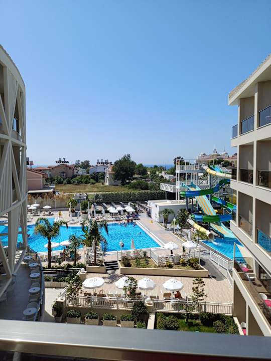 Gastro Seashell Vega