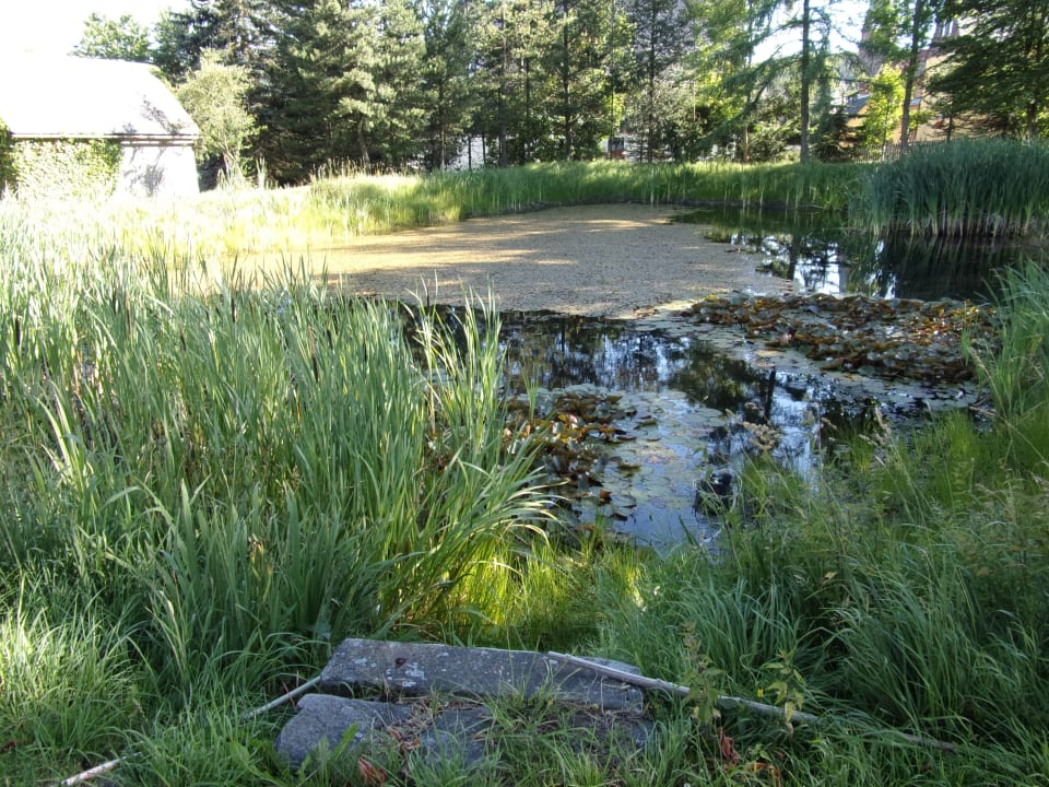 Gartenanlage Pension Rotes Haus