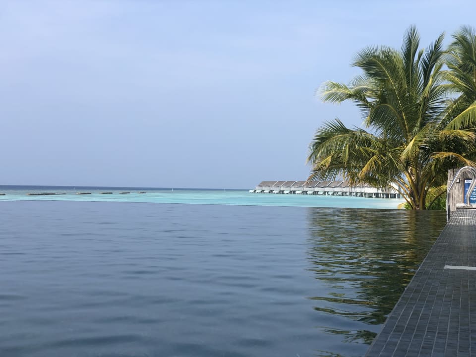 Pool Kuramathi Maldives