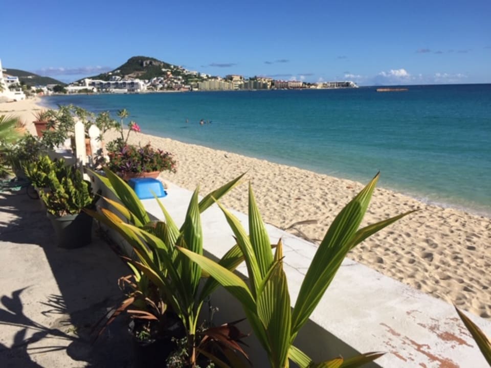 Ausblick Apartment on the Beach