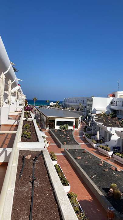 Gartenanlage allsun App.-Hotel Barlovento