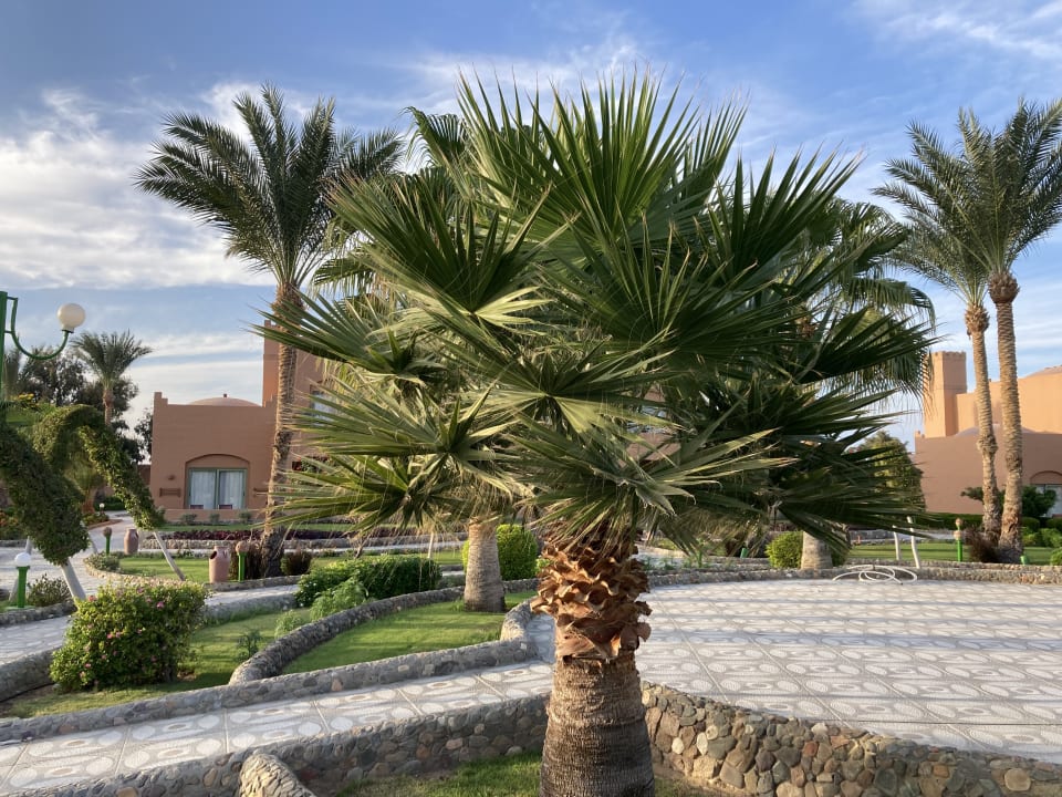 Gartenanlage Sentido Akassia Beach
