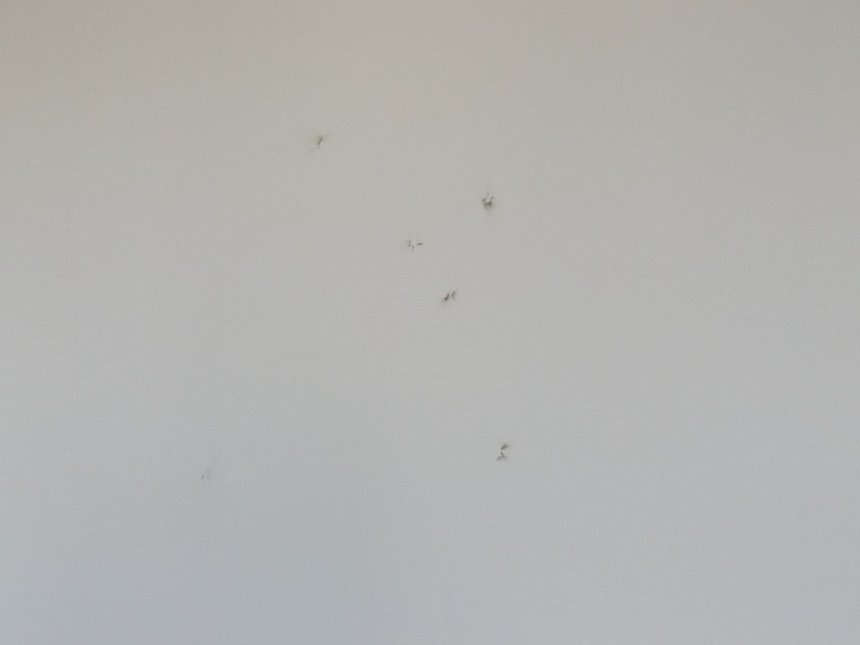 Zimmer Columbus Sea Hotel