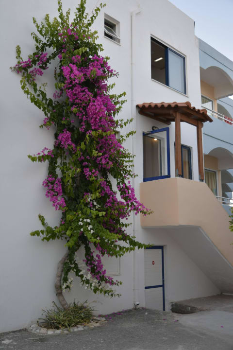 Das Gebeude Hotel Kathrin Beach