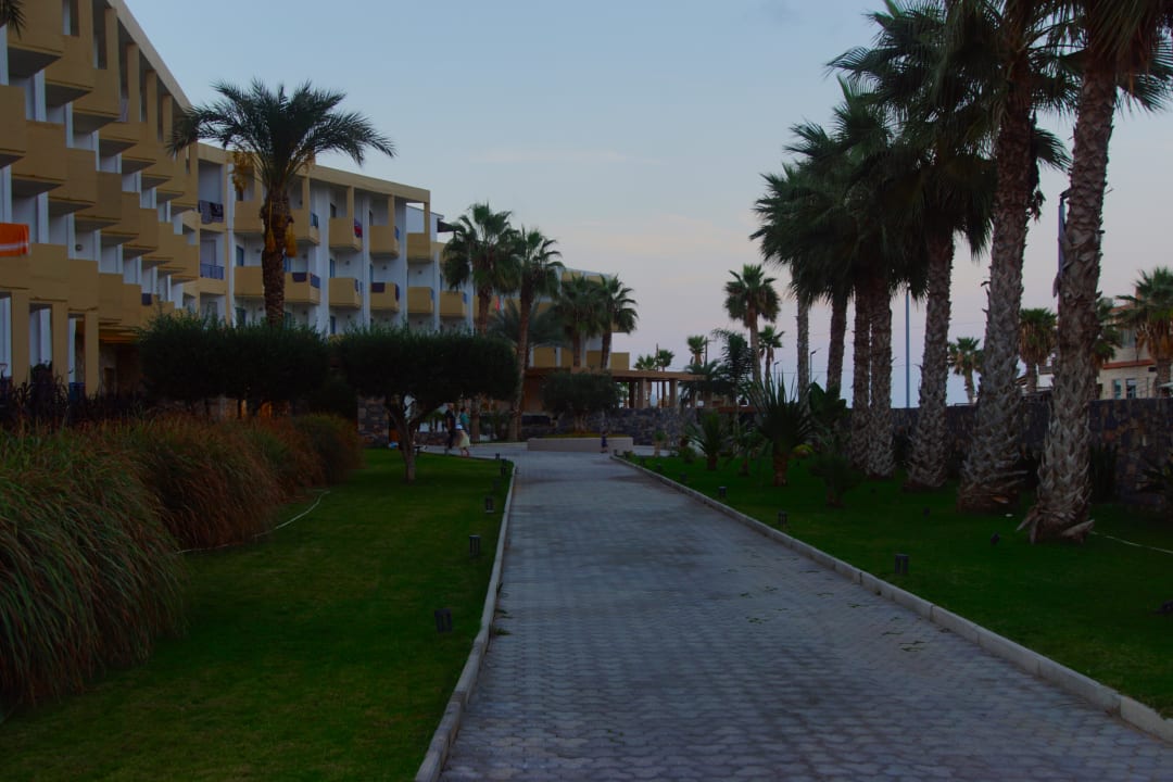 Gartenanlage Hotel Aphrodite Beach Club