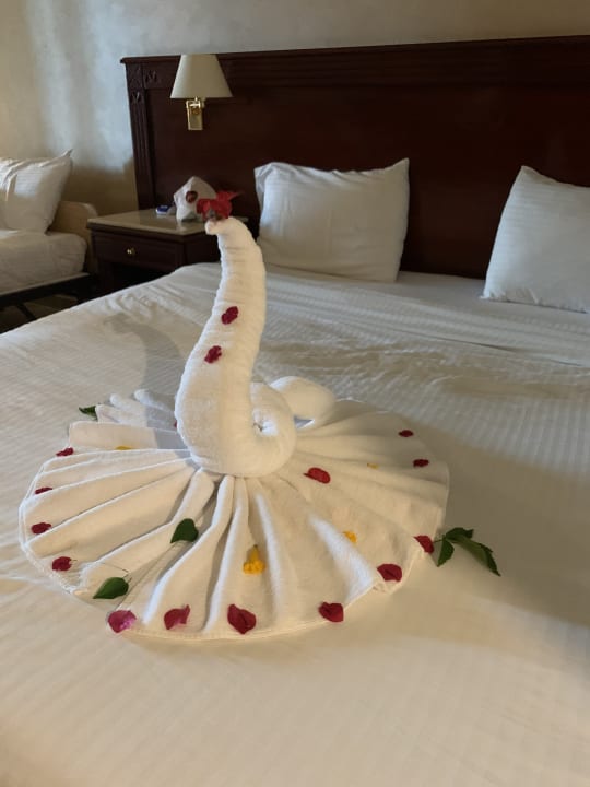 Zimmer Malikia Resort Abu Dabbab