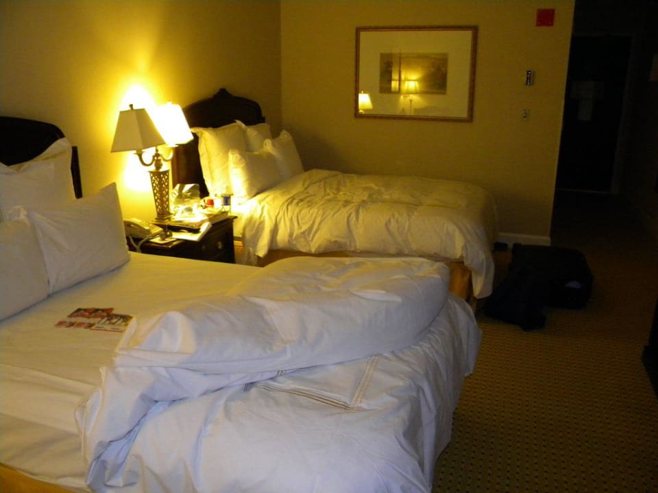 Zimmer Hyatt Chicago Magnificent Mile