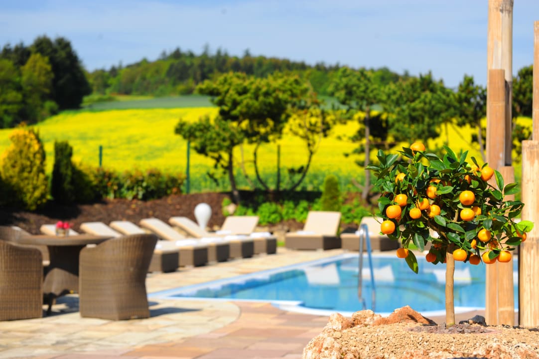 Poolblick Hotel Freund