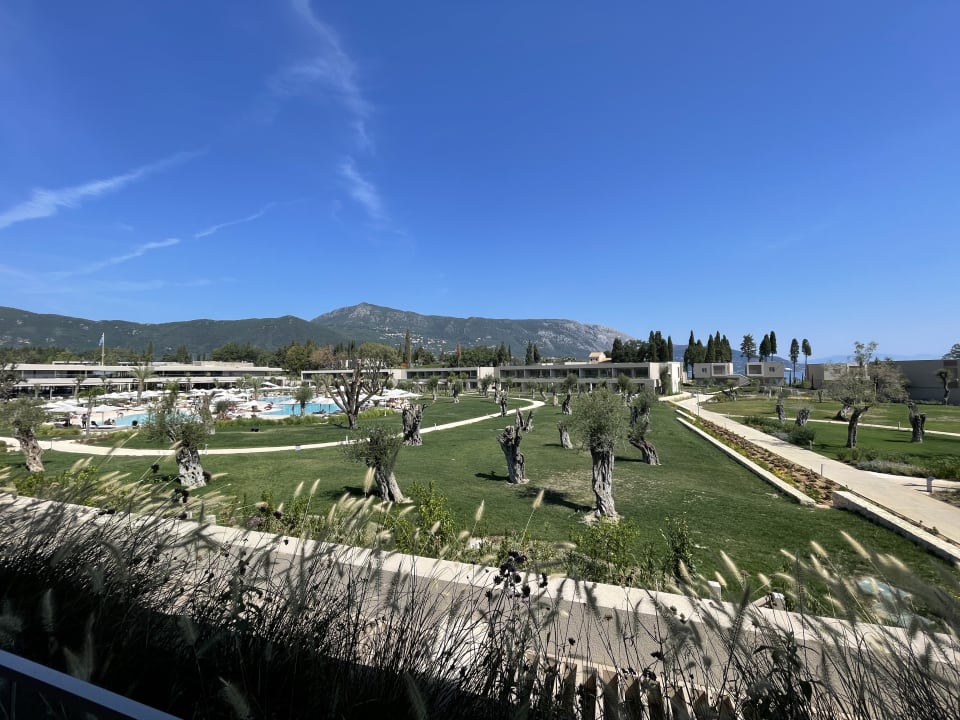 Ausblick Ikos Odisia