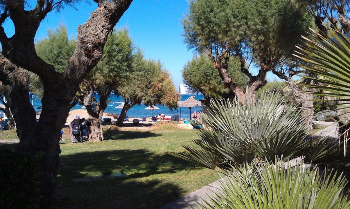 Garten  Phãea Cretan Malia