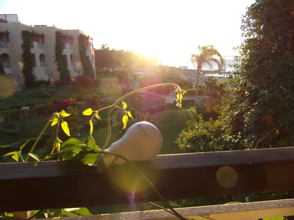 Ausblick Prima Life Makadi Resort