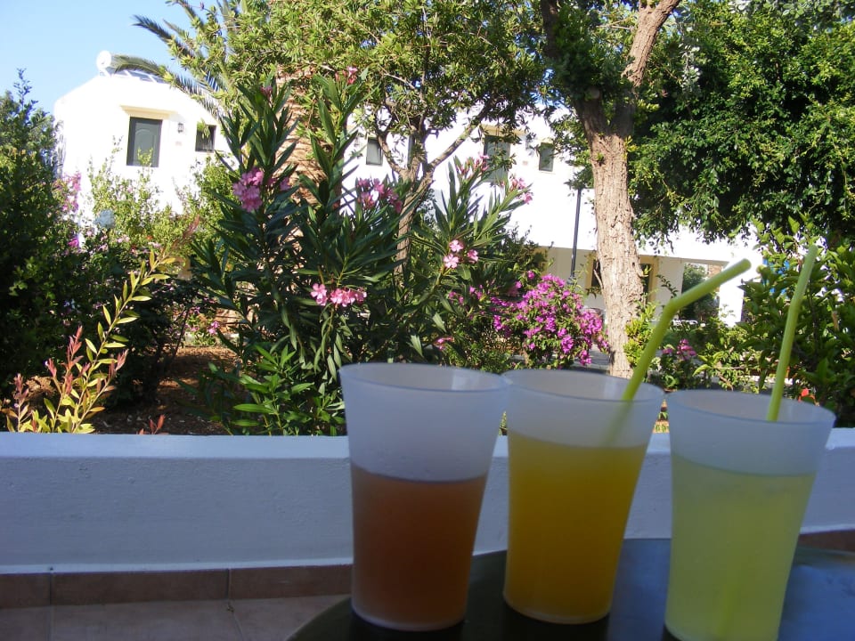 Terrace with drinks TUI SUNEO Chrissi Amoudia