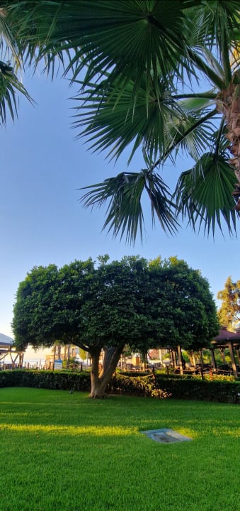Gartenanlage Seven Seas Hotel Life