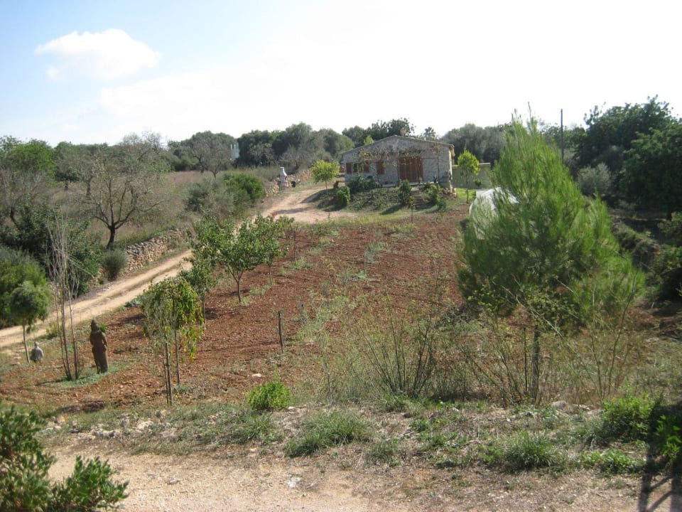 Zufahrt zur Finca Ferienhaus Casa d'es Cardassar