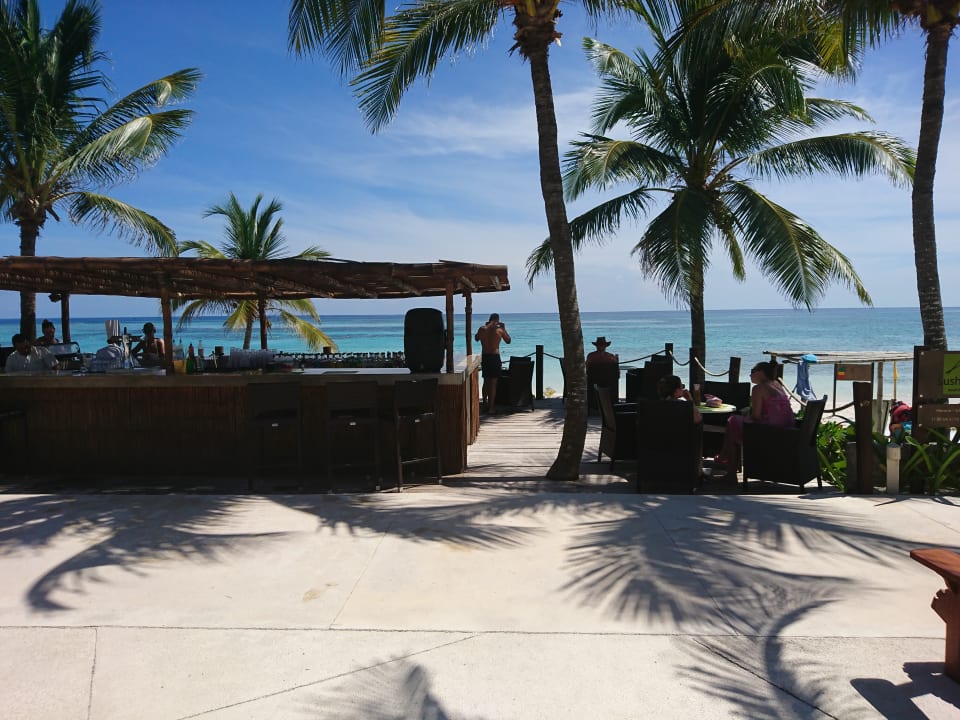Pool Akumal Bay Beach & Wellness Resort