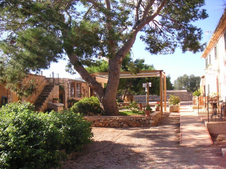 Finca Sa Canova Finca sa Canova