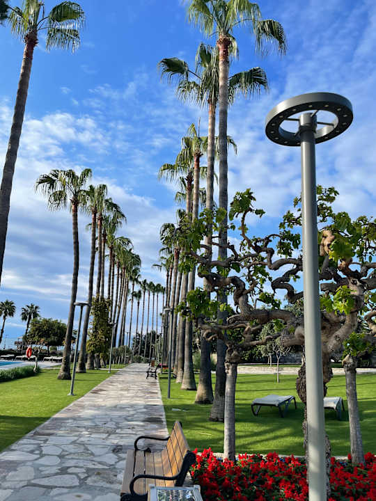 Gartenanlage Arum Barut Collection