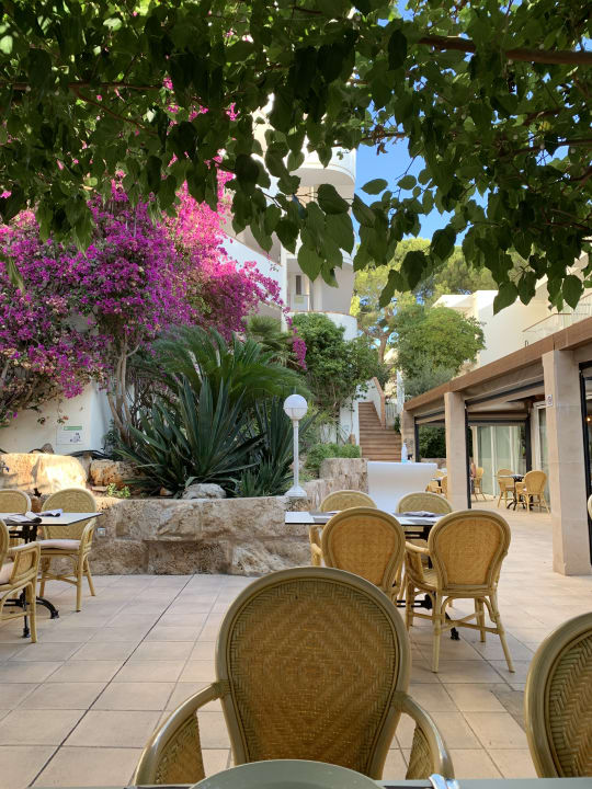 Gastro Aparthotel Houm Plaza Son Rigo