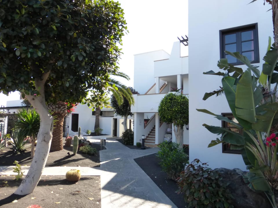 Sehr gepflegte Anlage allsun App.-Hotel Albatros