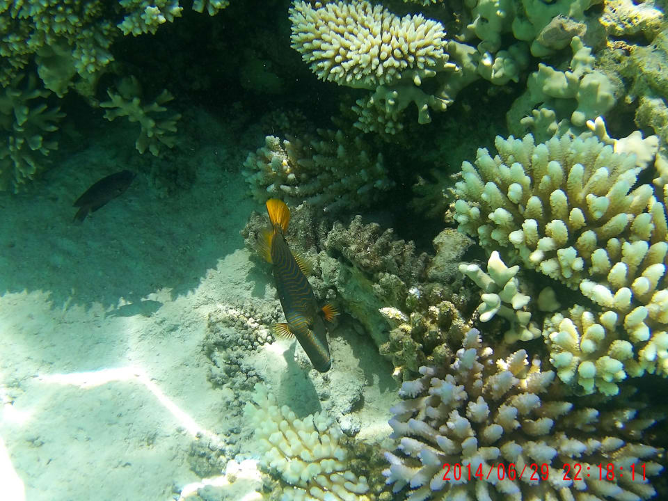 VOI Maayafushi Resort NAKAI Maayafushi Resort