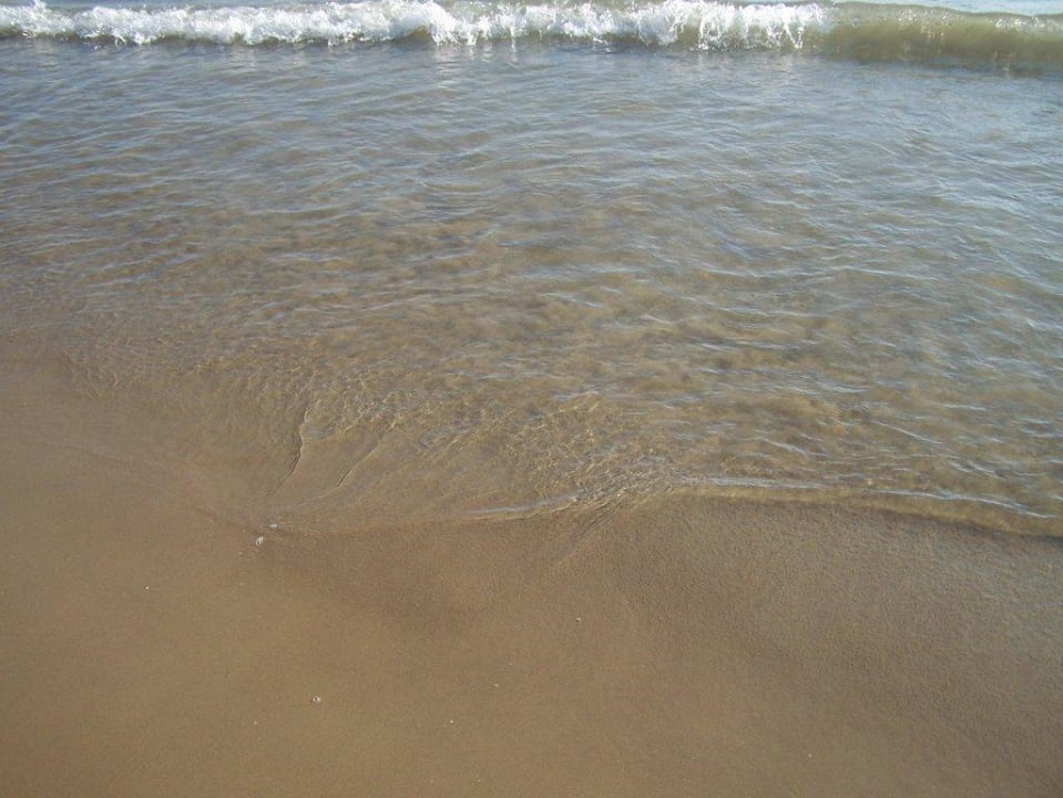 Feinsandiger Strand Clover Magic Nova Beach