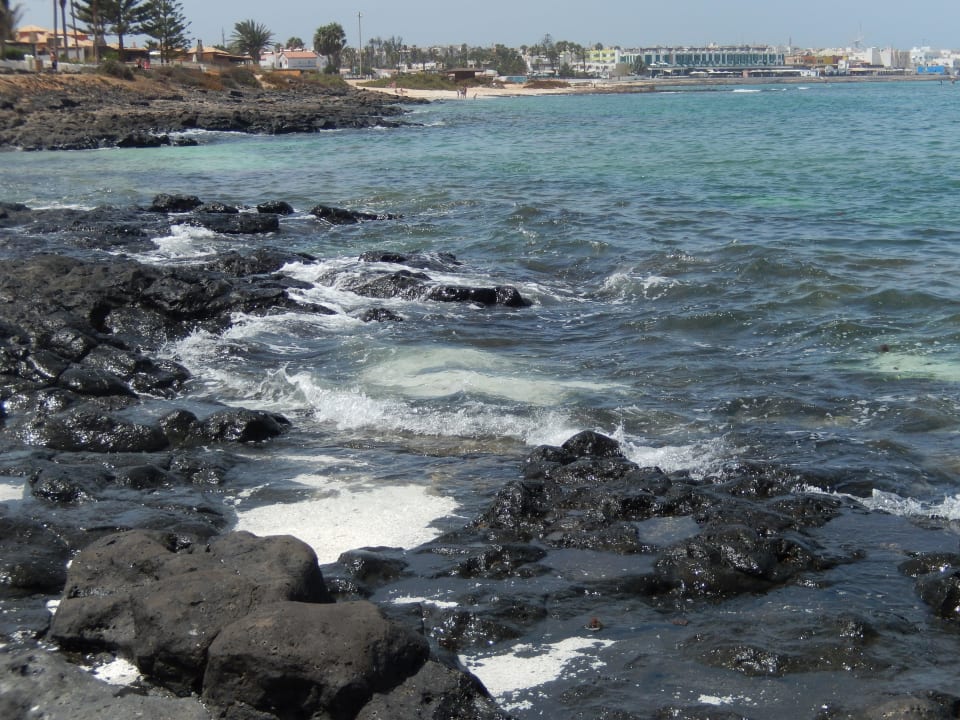 Près du port 10 minute à pied Hotel Oasis Dunas