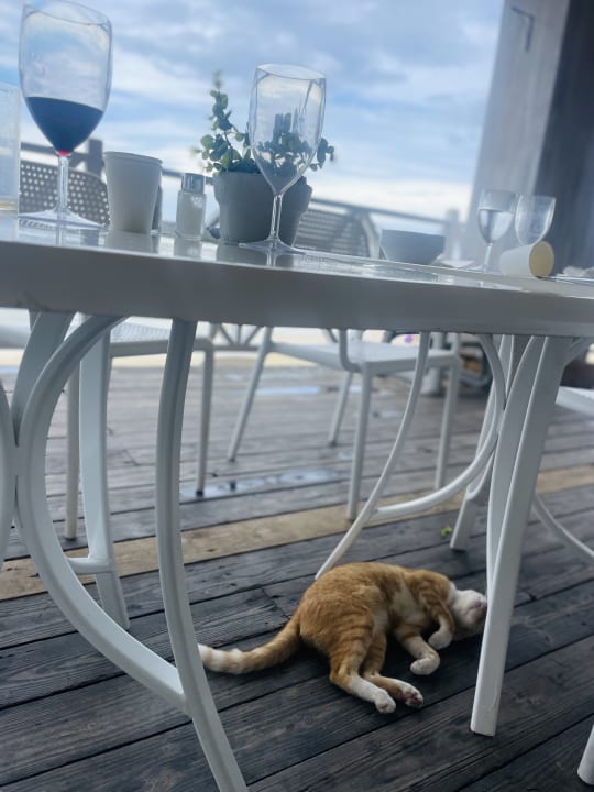 Gastro Bahia Principe Grand El Portillo