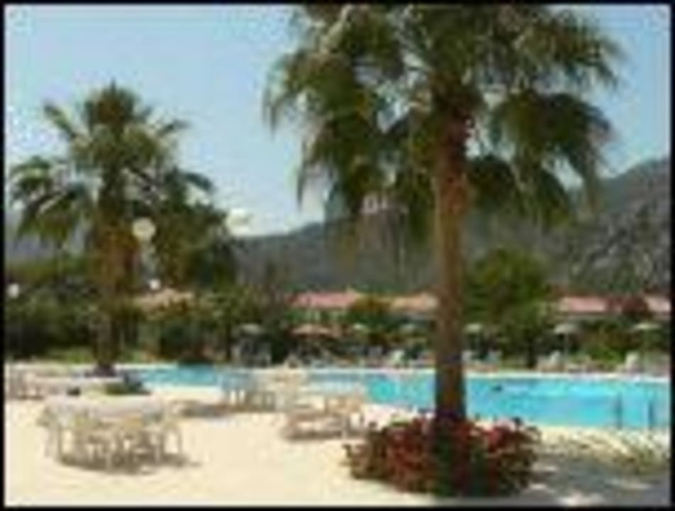 Pool Odile Hotel