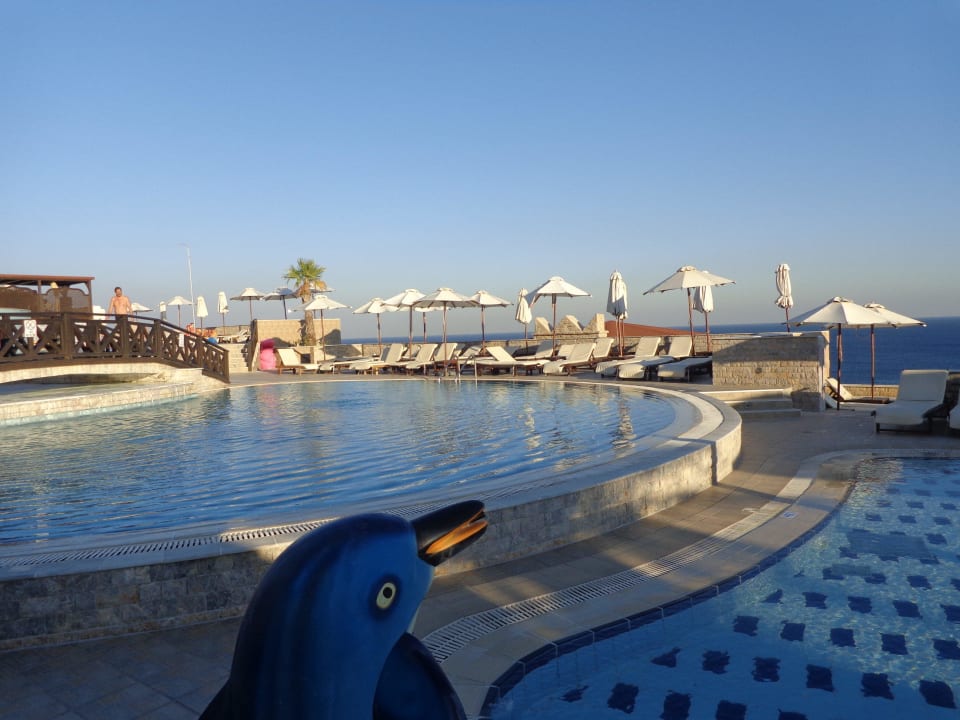 Blick auf den Pool Hotel Kalithea Horizon Royal