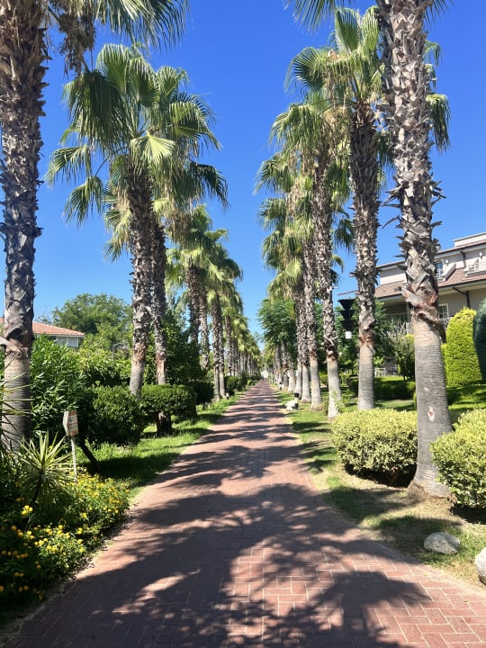 Gartenanlage Sunis Elita Beach Resort & Spa