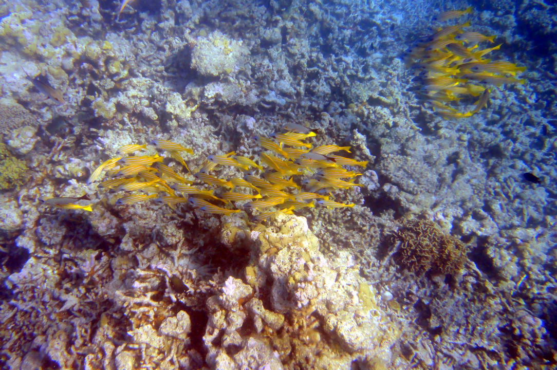 Sport & Freizeit Embudu Village