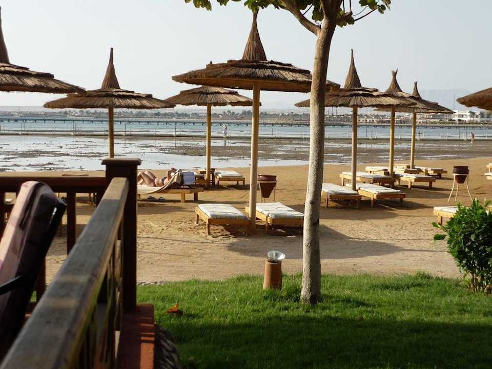 Frühstücksterrasse mit Strandblick Beach Albatros Resort