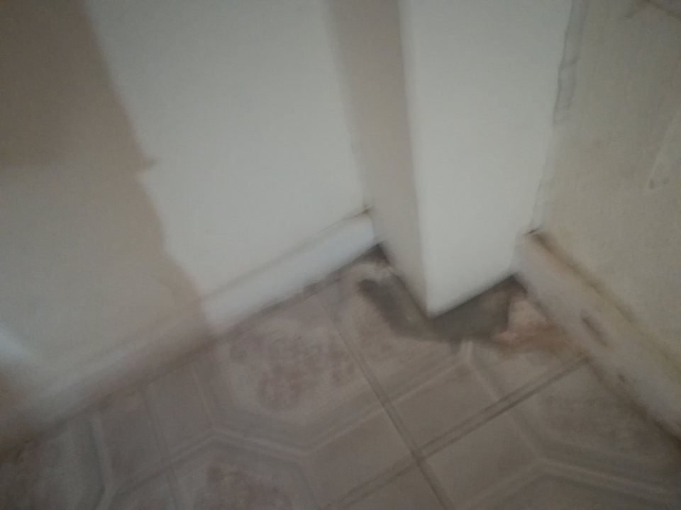 Zimmer Eagles Paradise Abu Soma