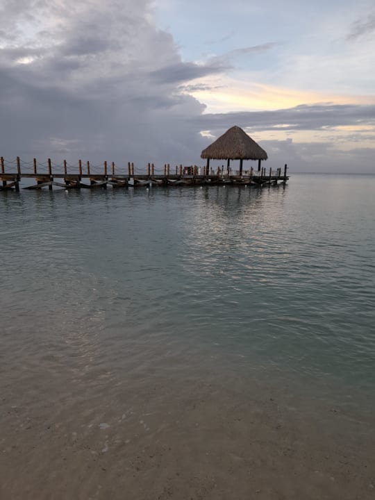 Strand Dreams Dominicus La Romana