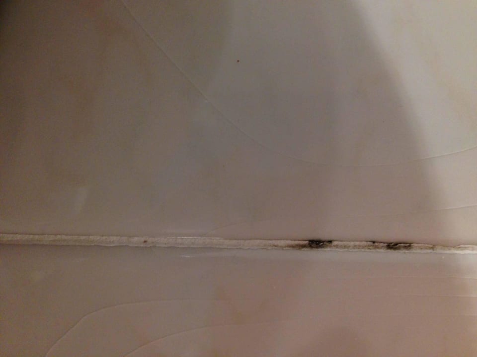 Fugen verschimmelt Globales Bouganvilla